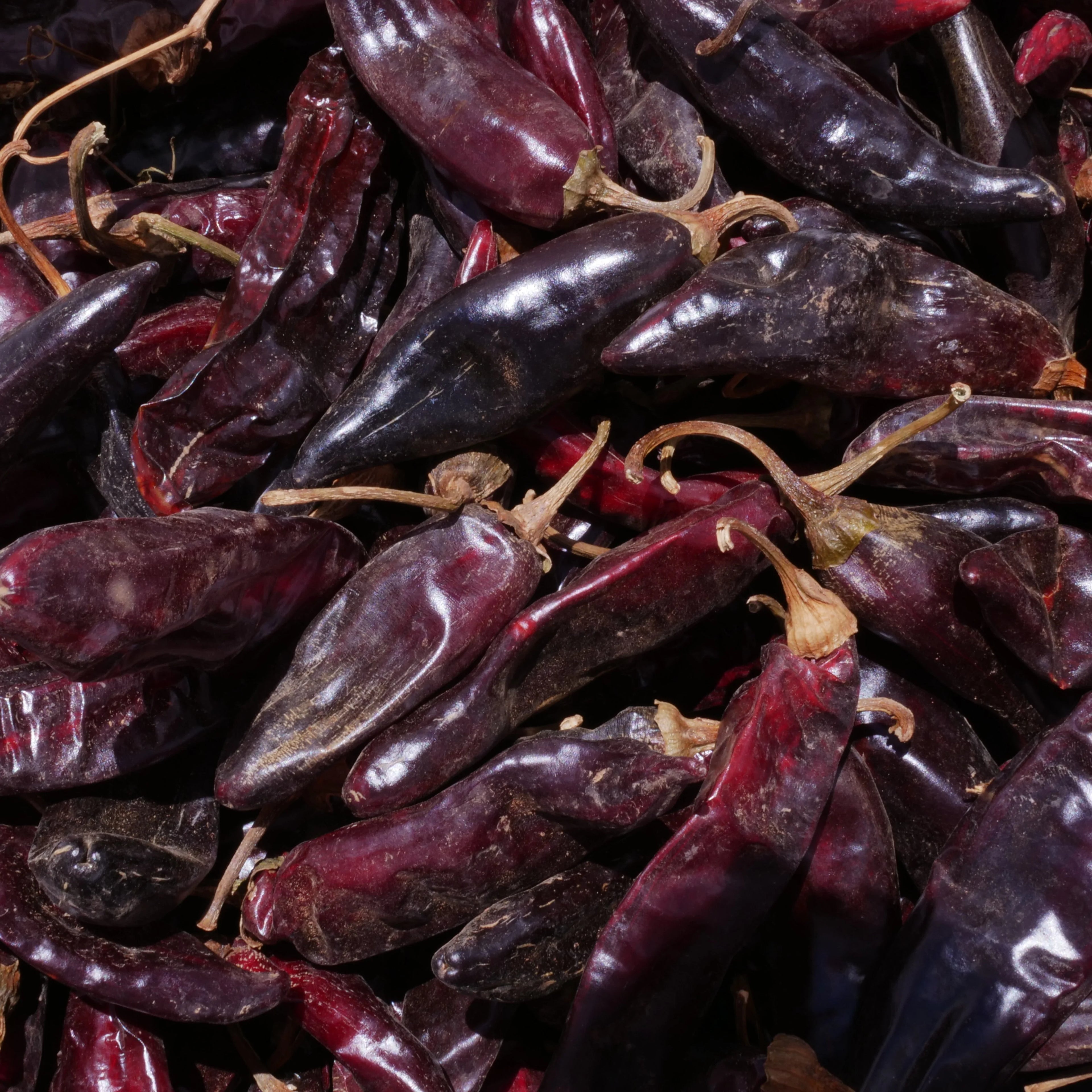 Guajillo Peppers